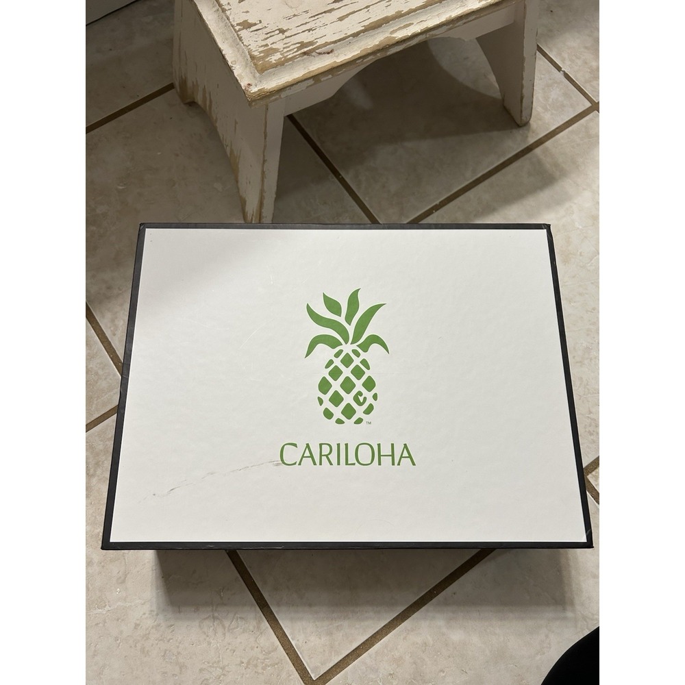 New In Box Cariloha Queen Sheet Set Bamboo Viscose 4 Piece Blush - Picture 2 of 5